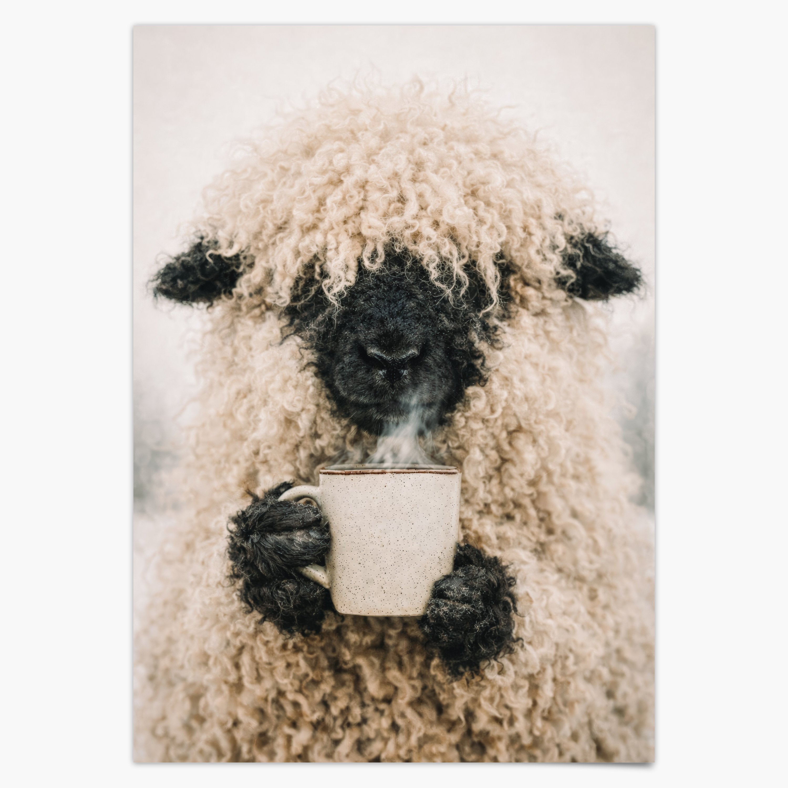 Schaf Trinkt Kaffee Wanddeko für Esszimmer, Küche & Büro