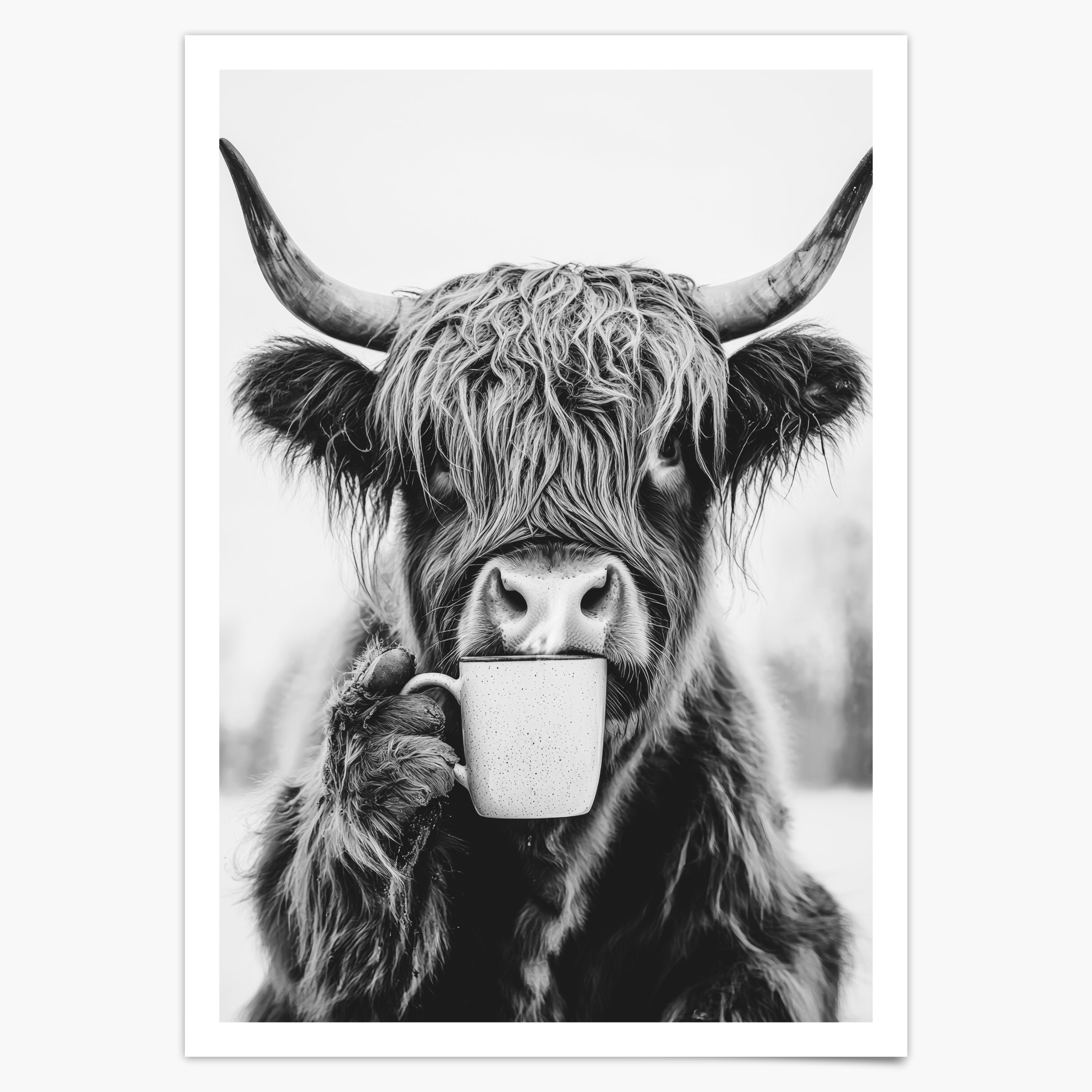 Kuh trinkt Kaffee Poster - Küchenbild Schwarz Weiß - Highland Kuh Esszimmer Bild