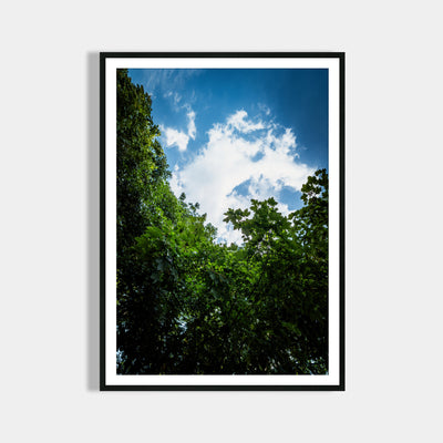 Natur Poster Landschaftsfotografie - Wohnzimmer Bilder Schlafzimmer Poster - Moderne Wohndekoration & Wanddekoration - Büro Deko - Art Deco