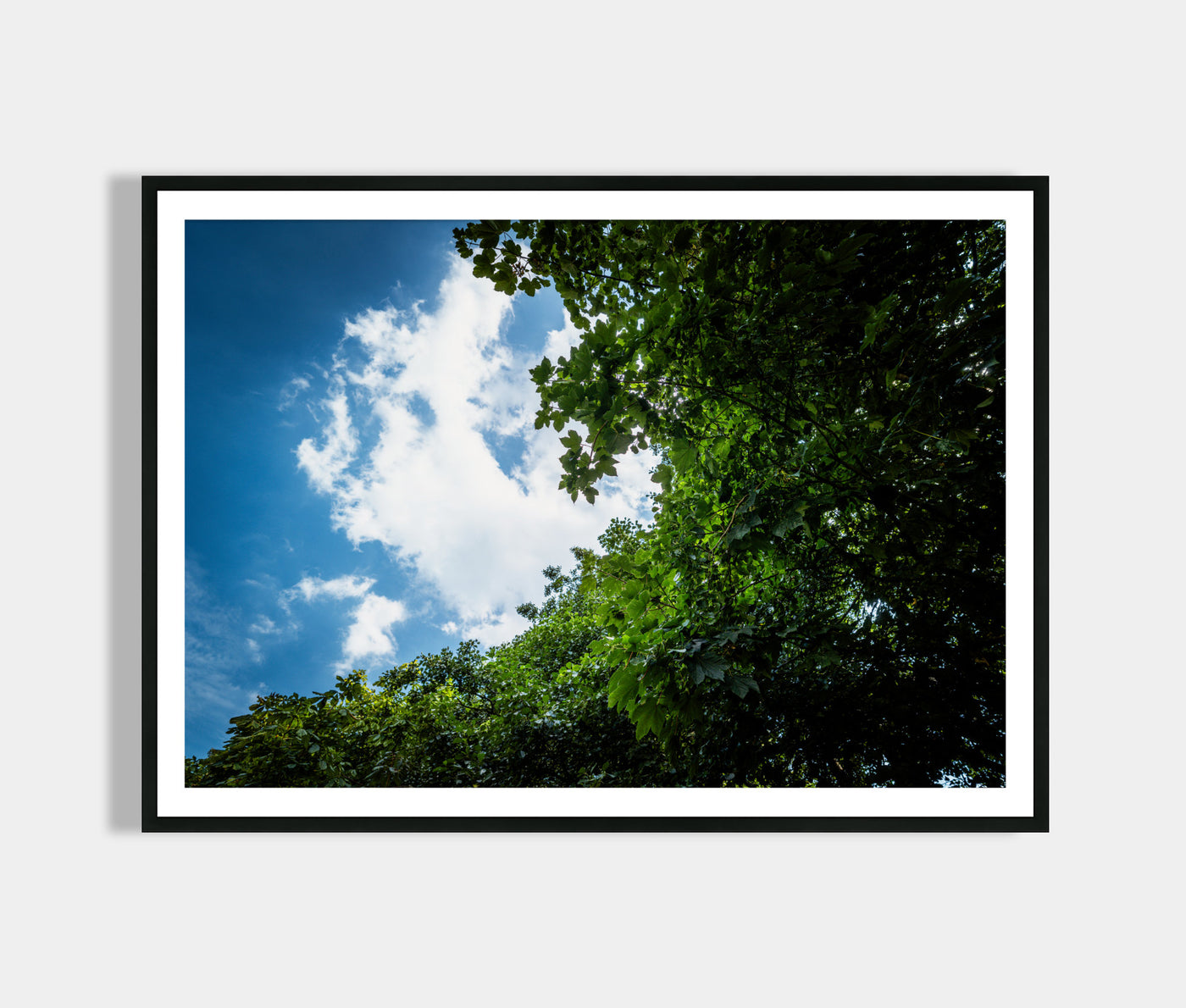 Natur Poster Landschaftsfotografie - Wohnzimmer Bilder Schlafzimmer Poster - Moderne Wohndekoration & Wanddekoration - Büro Deko - Art Deco