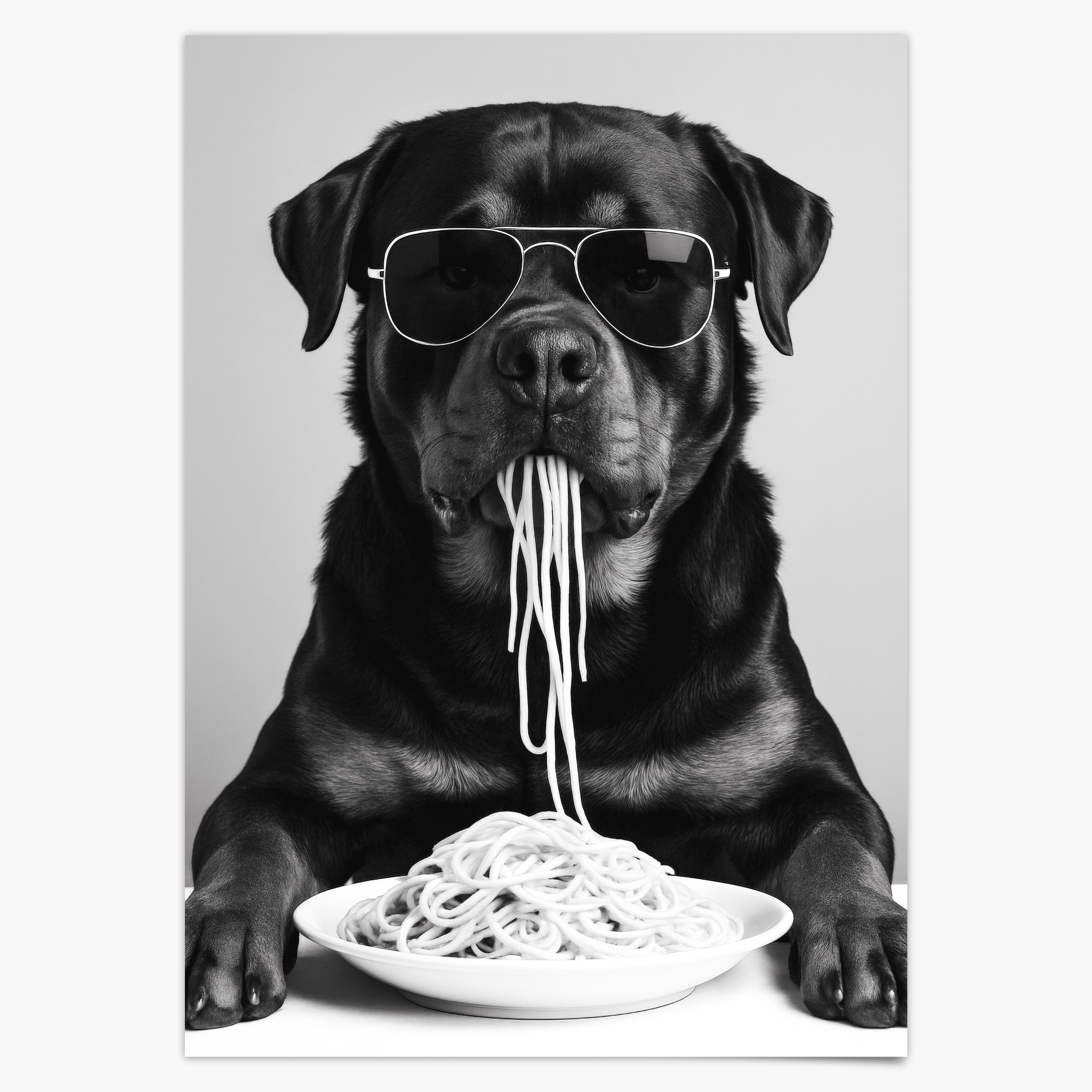 Rottweiler isst Spaghetti  - Poster Schwarz Weiß Küchen- & Esszimmer Bild
