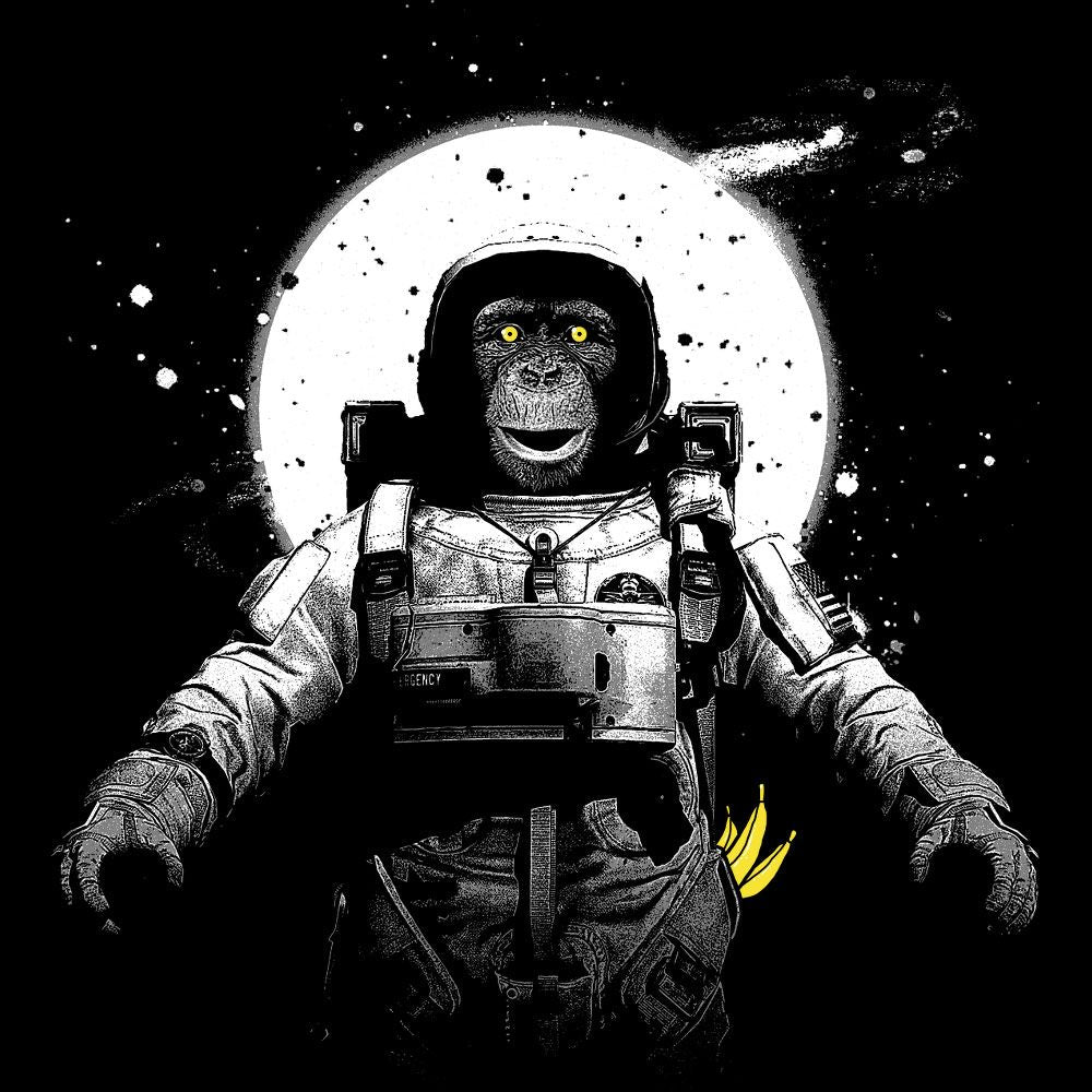 astronaut_monkey_preview